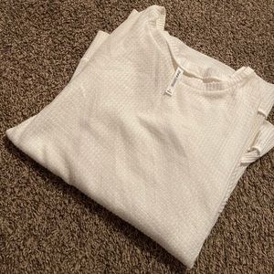 Express light weight sweater